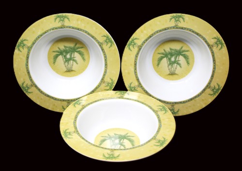 Tropical palm tree - 3,